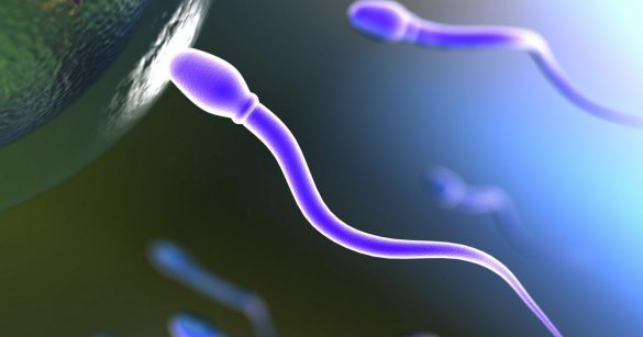 Slider image (3) Babydust Clinic